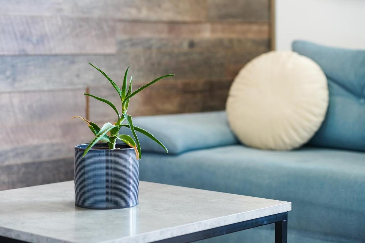 Appartement Teona Luxury With Terrace Sali